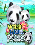 ประสบการณ์ทดลองใช้ฟรี เล่นเกมได้เงิน pantip ที่คุณไม่ควรพลาด